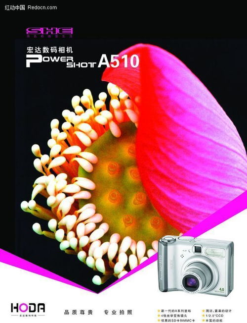 捕捉每一個(gè)精彩瞬間——新一代數(shù)碼相機(jī)，開(kāi)啟攝影新紀(jì)元